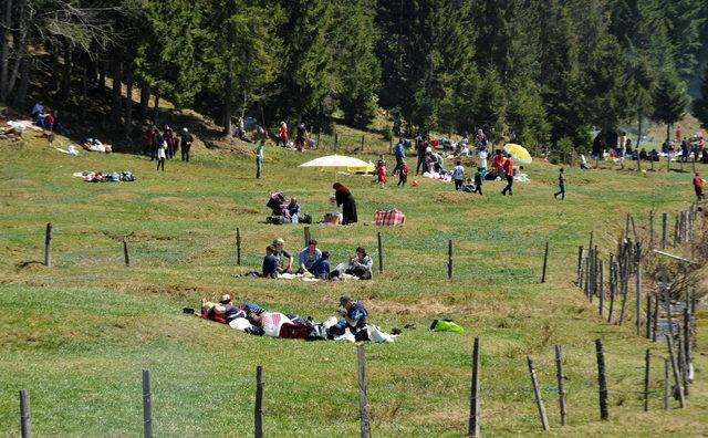 2 haftada 35 bin kişi gezdi, 'Mor Yayla’da ezilen çiçekler erken kayboldu