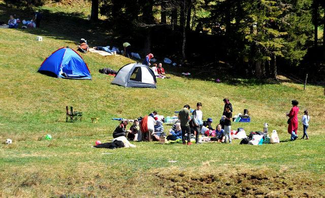 2 haftada 35 bin kişi gezdi, 'Mor Yayla’da ezilen çiçekler erken kayboldu