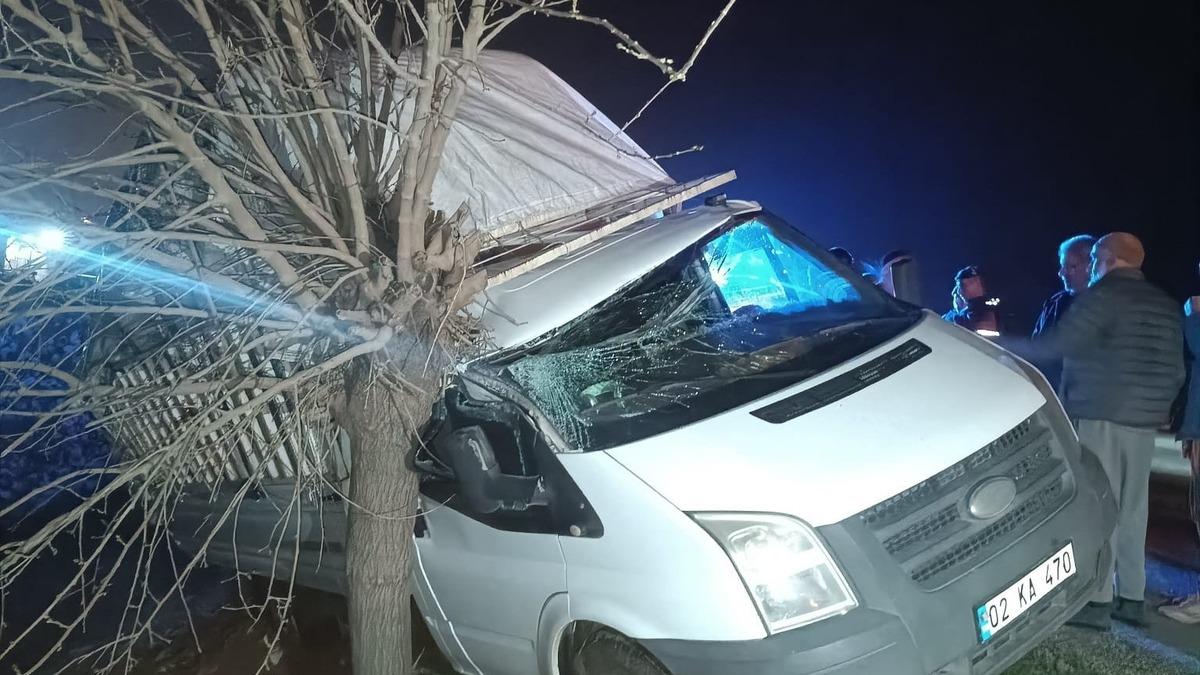 Kamyonet şarampolde ağaca çarptı: 1 yaralı