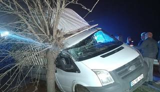 Kamyonet şarampolde ağaca &ccedil;arptı: 1 yaralı