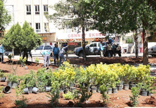 Haliliye’de park yapım çalışmaları sürüyor