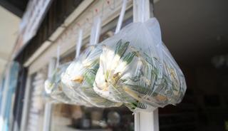 Bu şehirde &ccedil;iriş otu &uuml;cretsiz dağıtılıyor: Askıda uygulaması başladı