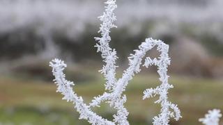 Çankırı için zirai don uyarısı