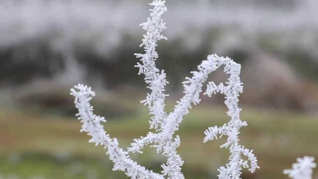Çankırı için zirai don uyarısı