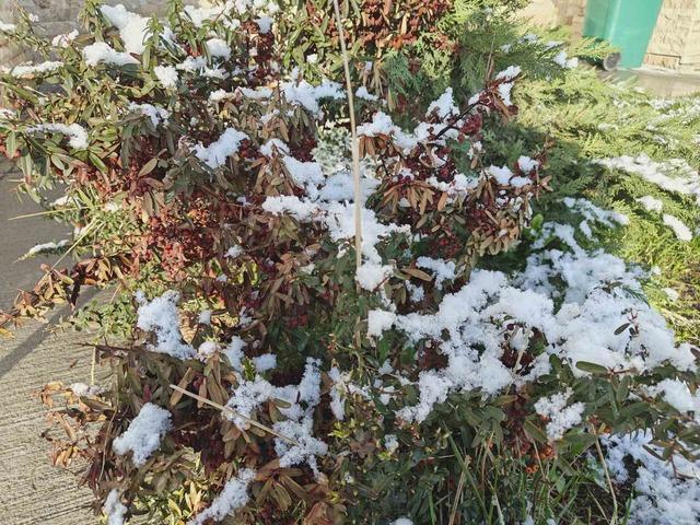 Kayseri’ye Nisan ayında kar yağdı 1