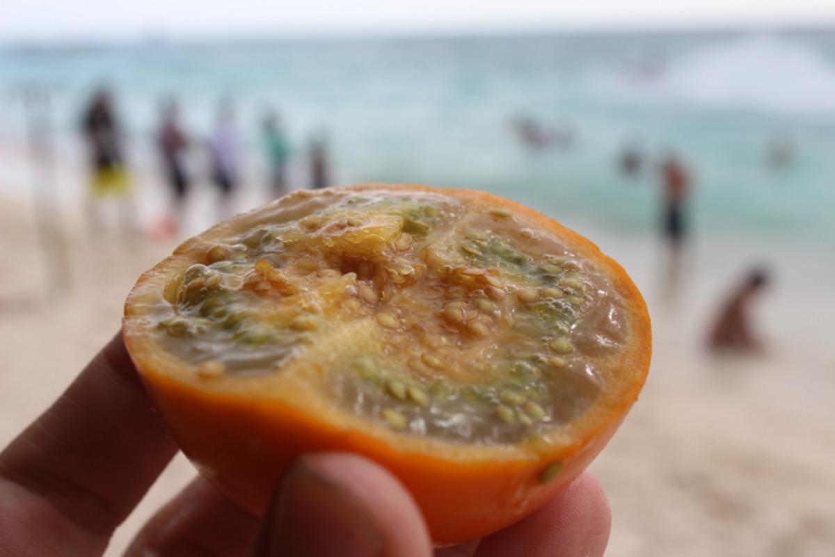 Dışı portakal, i&ccedil;i domates! Bu meyve &uuml;lke dışına &ccedil;ıkarılamıyor 1