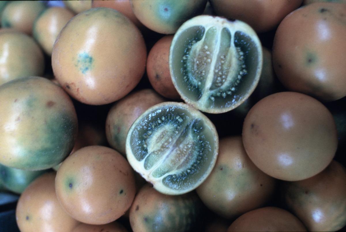 Dışı portakal, i&ccedil;i domates! Bu meyve &uuml;lke dışına &ccedil;ıkarılamıyor 3