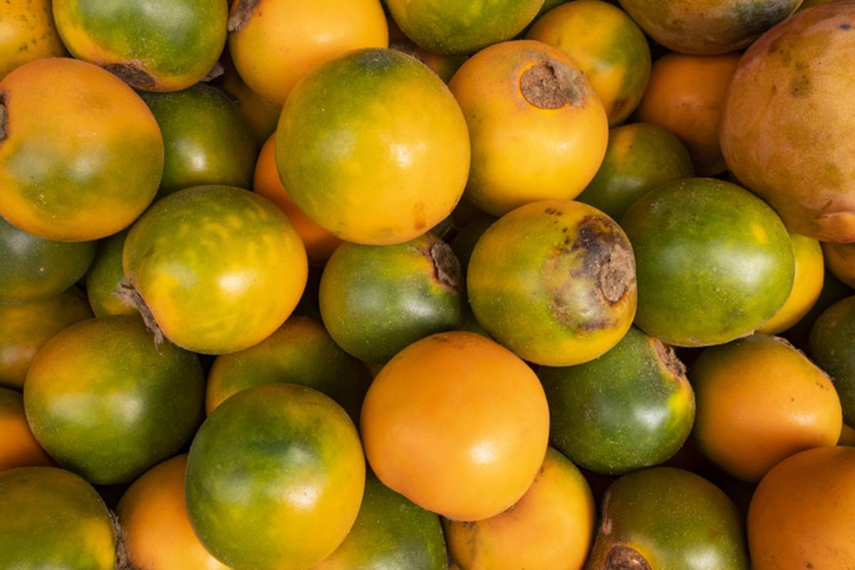 Dışı portakal, i&ccedil;i domates! Bu meyve &uuml;lke dışına &ccedil;ıkarılamıyor 4