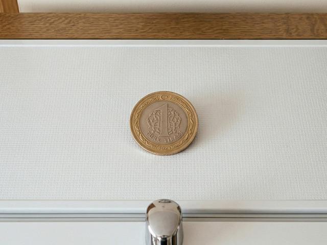 Japonlar buzdolabının &uuml;zerine bu y&uuml;zden madeni para koyuyor