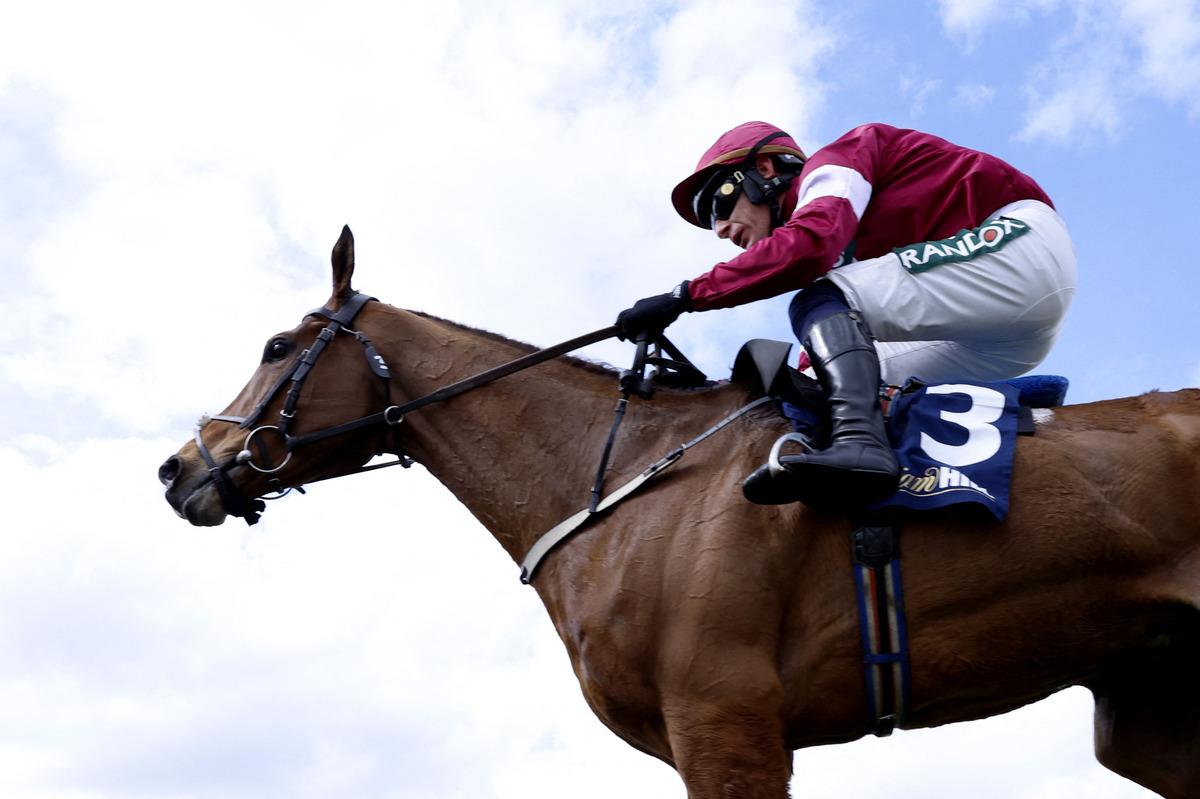 Yarışı kazanan atın beli kırıldı! T&uuml;m &uuml;lke ayağa kalktı 1