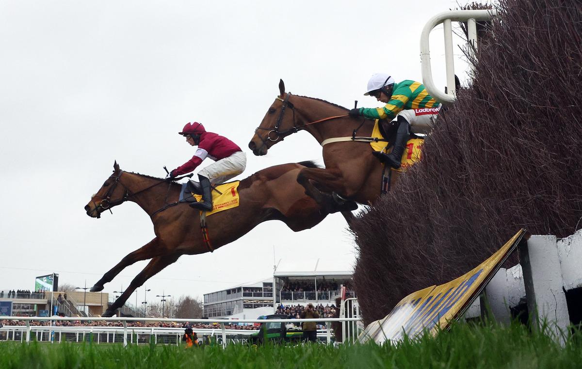 Yarışı kazanan atın beli kırıldı! T&uuml;m &uuml;lke ayağa kalktı 2