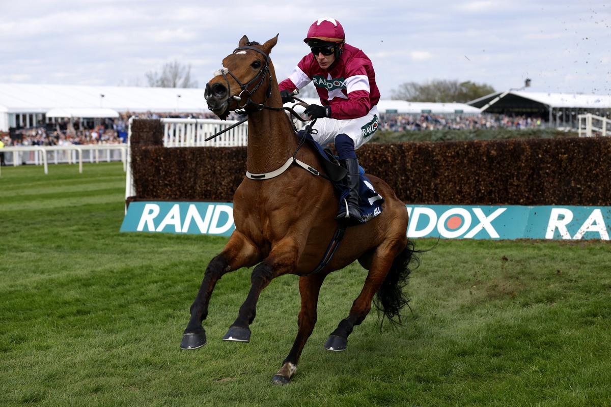 Yarışı kazanan atın beli kırıldı! T&uuml;m &uuml;lke ayağa kalktı 3