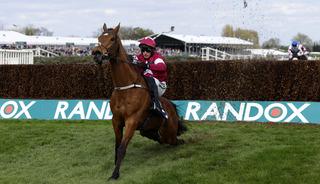 Yarışı kazanan atın beli kırıldı! T&uuml;m &uuml;lke ayağa kalktı