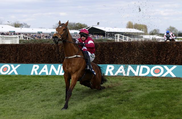 Yarışı kazanan atın beli kırıldı! Tüm ülke ayağa kalktı