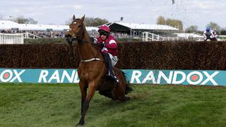 Yarışı kazanan atın beli kırıldı! Tüm ülke ayağa kalktı