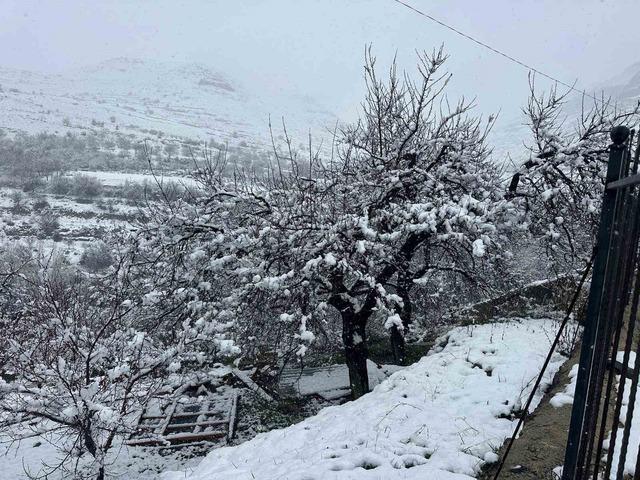 Malatya’da kayısı bahçeleri kar altında kaldı 4