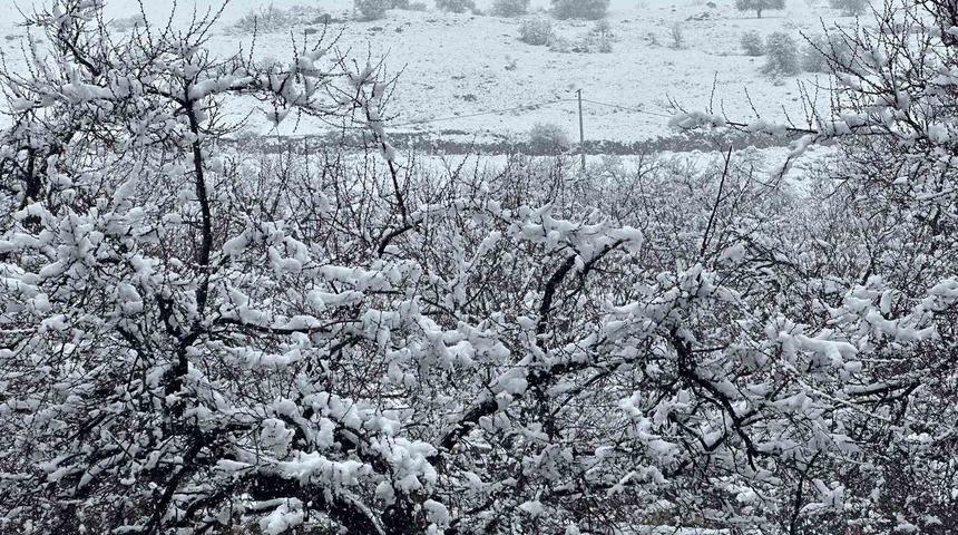 Malatya&rsquo;da kayısı bah&ccedil;eleri kar altında kaldı