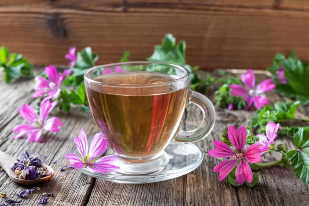 Faydasını duyan herkes almaya çalışıyor! Yılda bir ay toplanan şifacı 3