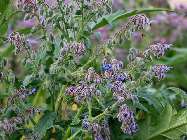 Faydasını duyan herkes almaya &ccedil;alışıyor!
