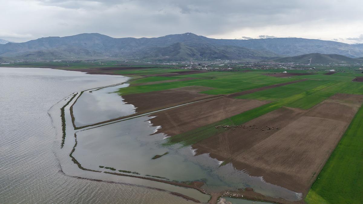 Aynı nokta, 7 yıl arayla: Değişim g&ouml;zler &ouml;n&uuml;ne serildi 4