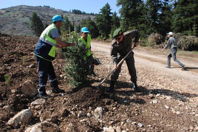 Jandarmadan ağaçlandırma seferberliğine destek