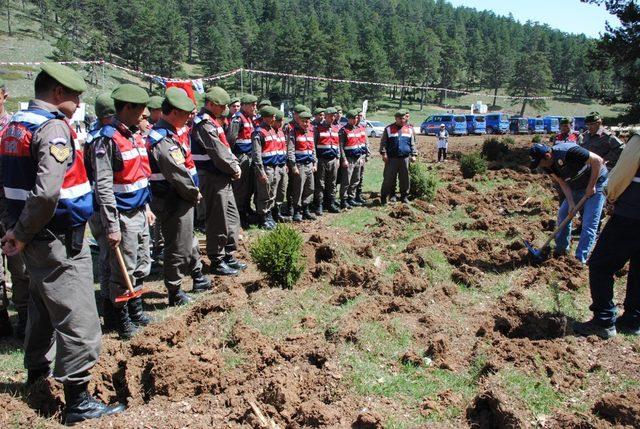 Jandarmadan ağaçlandırma seferberliğine destek