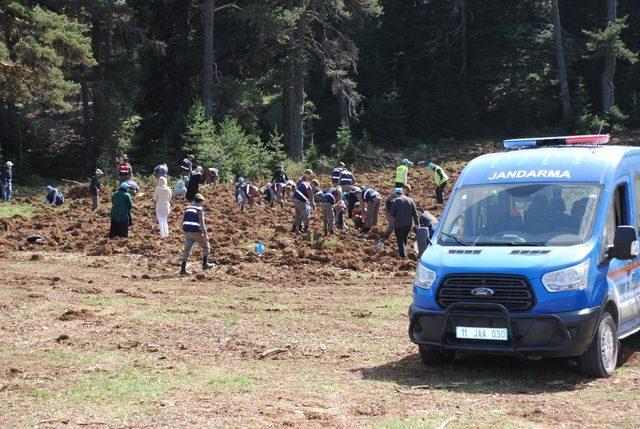 Jandarmadan ağaçlandırma seferberliğine destek