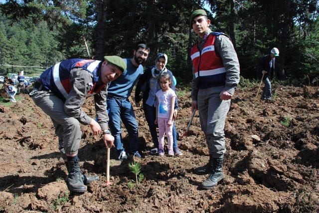 Jandarmadan ağaçlandırma seferberliğine destek