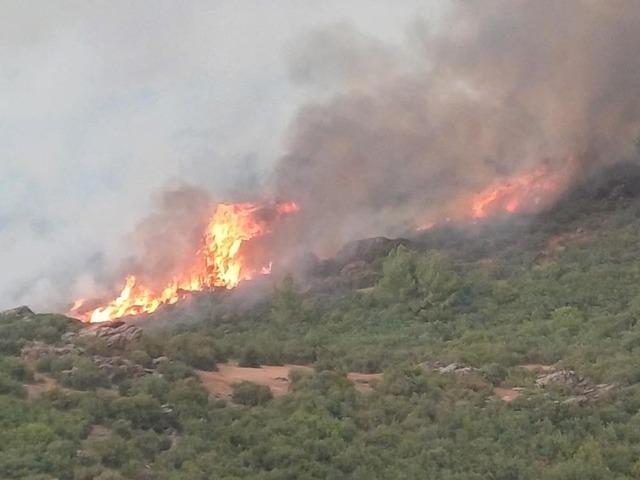 Salihli&rsquo;de yangın riskine karşı yasak kararı 1