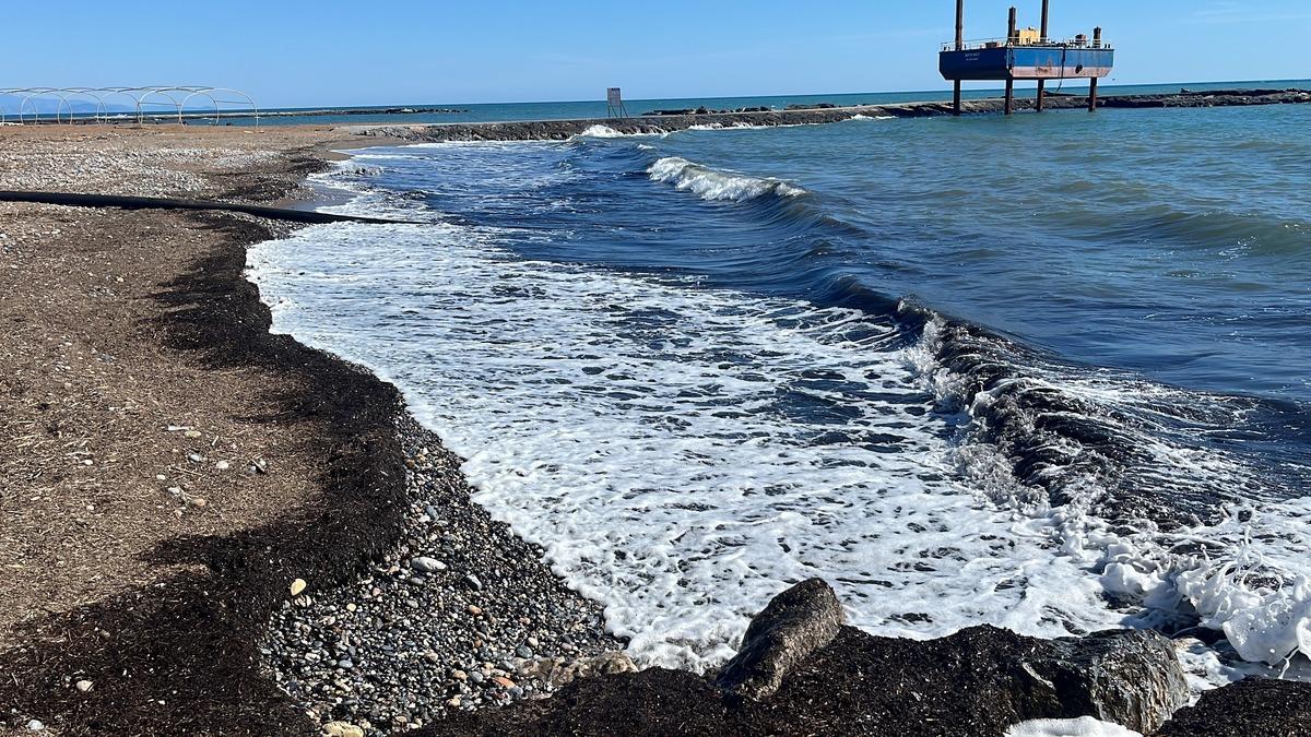 Alanya sahilde siyah tabaka oluştu! Nedeni sonradan ortaya &ccedil;ıktı 3