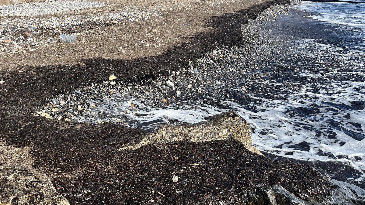 Alanya sahilde siyah tabaka oluştu! Nedeni sonradan ortaya &ccedil;ıktı 6