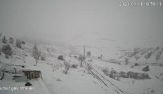 Malatya'da a&ccedil; kalan kurt s&uuml;r&uuml;s&uuml; k&ouml;ye indi