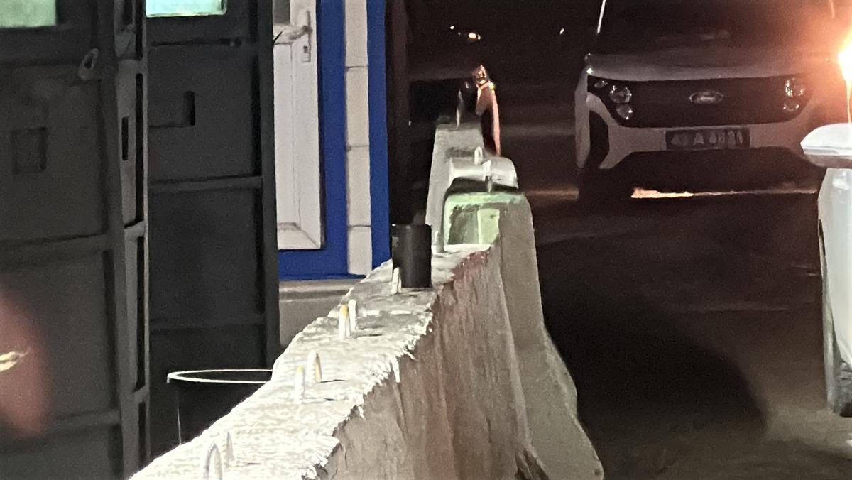 İstanbul dan Antalya ya gidiyorlardı! Saldırı planı deşifre oldu 4