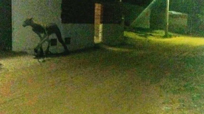 Vatandaşlar korku içinde! Akşam saatlerinde görüntülendi…