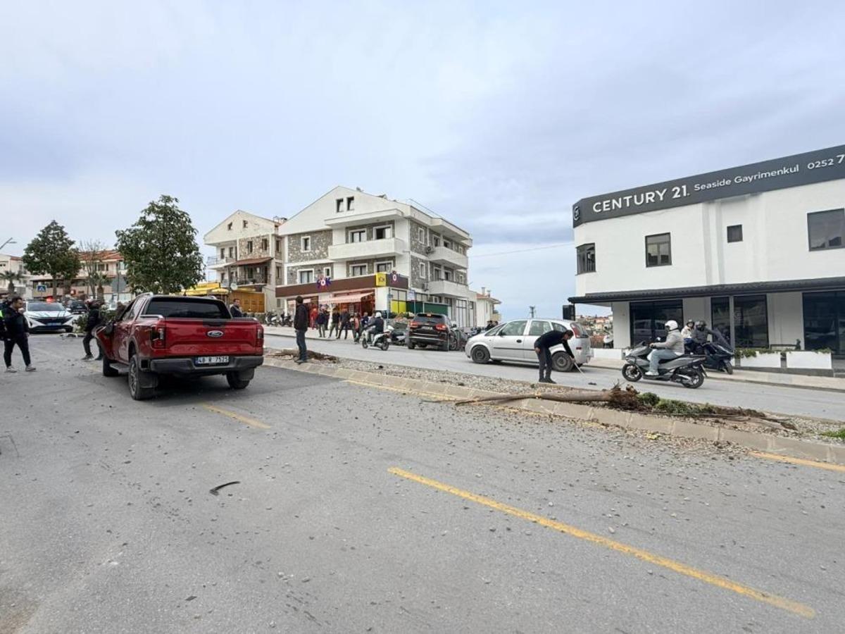 Direksiyon hakimiyetini kaybetti, 2 ağa&ccedil; ve elektrik direğini yerinden s&ouml;kt&uuml; 1