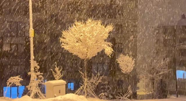 Yüksekova’da nisan karı: İlçe yeniden beyaza büründü, kartpostallık görüntüler ortaya çıktı 5