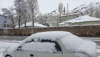 Başkale&rsquo;de nisan ayında kar yağışı