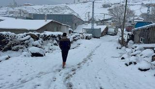Erzurum, Kars ve Ardahan'da kar yağışı ve soğuk hava