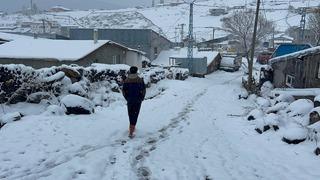 Erzurum, Kars ve Ardahan'da kar yağışı ve soğuk hava