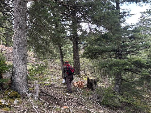 Kilosu 1500 TL: G&uuml;nde 6 kg bulan var! Herkes katılıyor, hayat duruyor