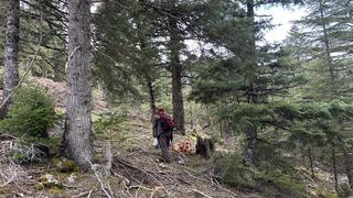 Kilosu 1500 TL: Günde 6 kg bulan var! Herkes katılıyor, hayat duruyor