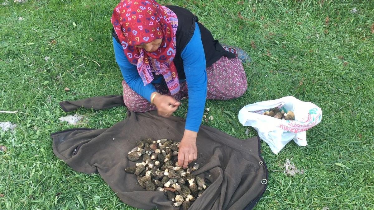 Kilosu 1500 TL: Günde 6 kg bulan var! Herkes katılıyor, hayat duruyor 9