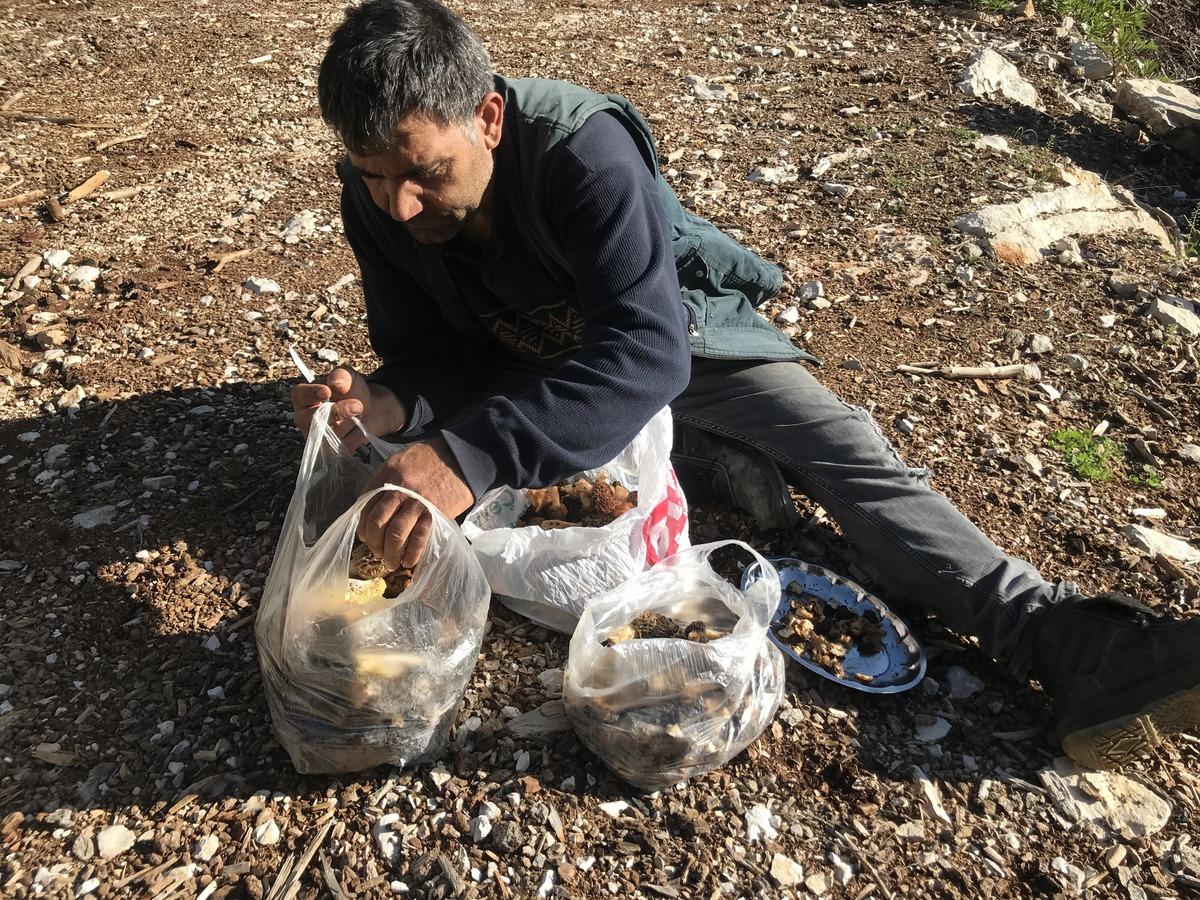 Kilosu 1500 TL: Günde 6 kg bulan var! Herkes katılıyor, hayat duruyor 15