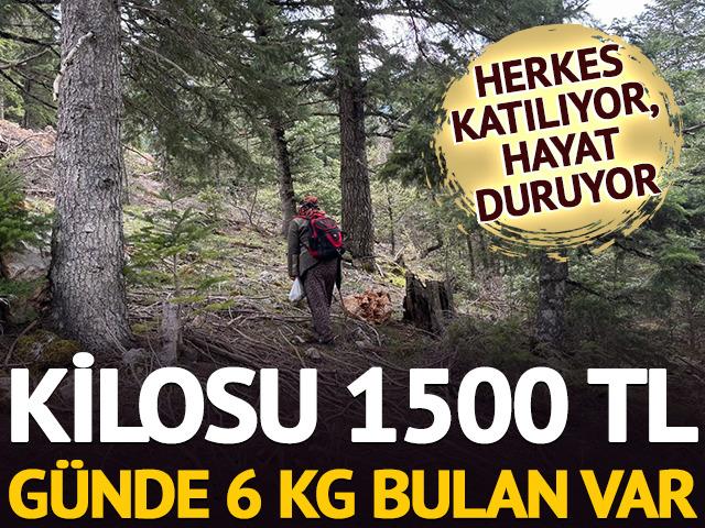 Kilosu 1500 TL: G&uuml;nde 6 kg bulan var! Herkes katılıyor, hayat duruyor