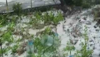 Dolu yağışı beyaza b&uuml;r&uuml;d&uuml;