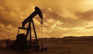 Avrupa'da gaz fiyatları H&uuml;rm&uuml;z Boğazı'nın a&ccedil;ılacağı a&ccedil;ıklamasıyla 38 avroya geriledi