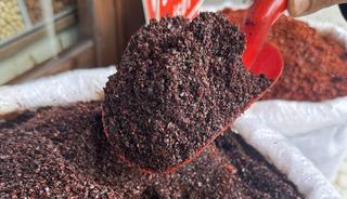 Yılın ilk &ccedil;eyreğinde 3,8 milyon dolarlık pul biber ihra&ccedil; edildi