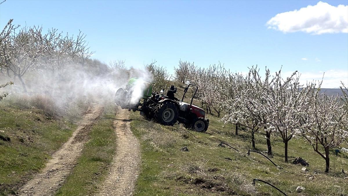 Beklenti arttı: Büyük bir heyecan içindeyiz Komşu köyler de harekete geçti 1