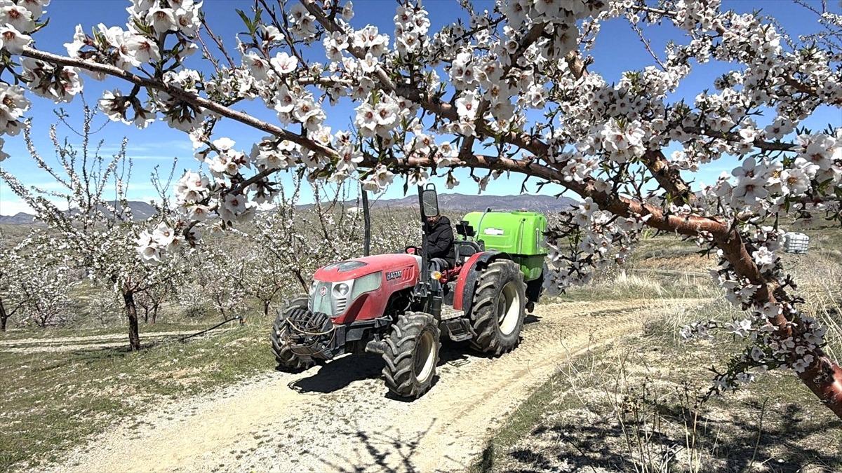 Beklenti arttı: Büyük bir heyecan içindeyiz Komşu köyler de harekete geçti 3