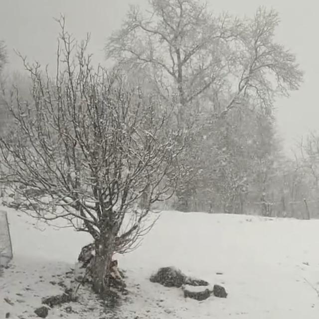 Siirt&rsquo;te nisan ayında kar s&uuml;rprizi 1